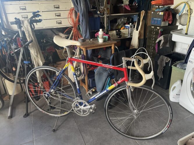Batavus Professional Team, Campagnolo Nuovo Record, gereviseerd