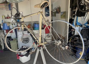 Gazelle Champion Mondial (Revisie)